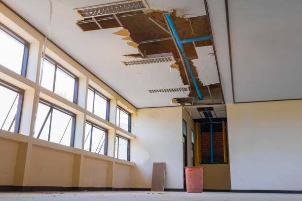 Best Professional water damage repair  in Forest Lake, MN