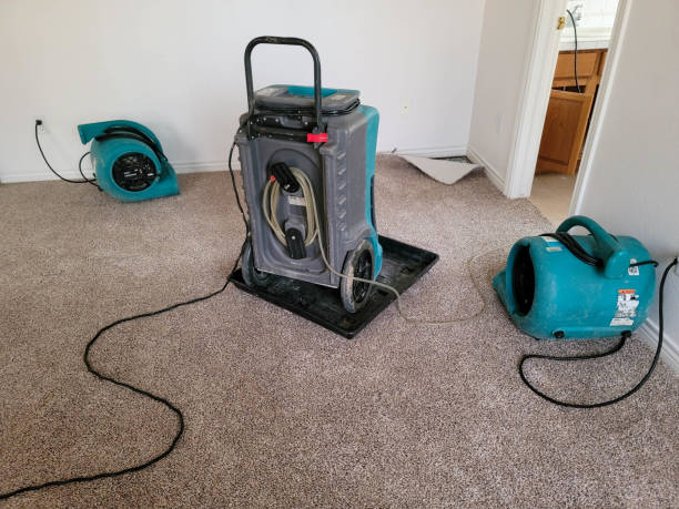Best Professional water damage repair  in Forest Lake, MN