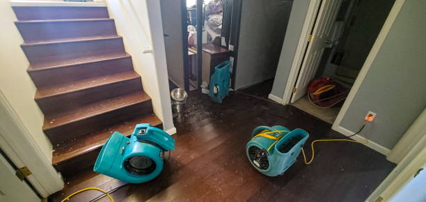 Best 24/7 water damage repair  in Forest Lake, MN