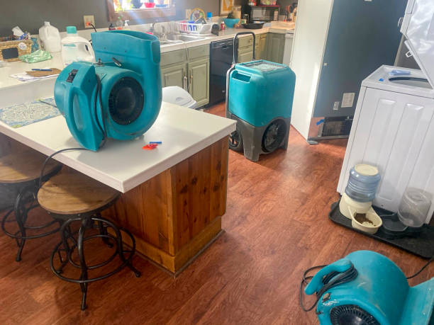 Water damage restoration experts in MN