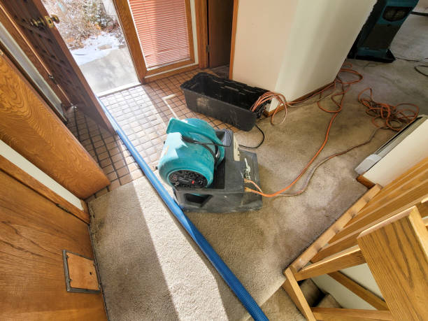 Water damage restoration mold remediation in MN