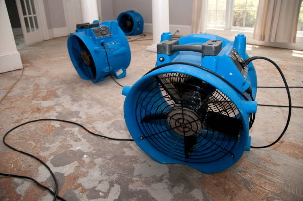 Best Local water damage restoration  in Forest Lake, MN