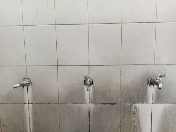 Reliable MN Water damage restoration Solutions