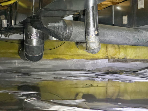 Best Professional water damage repair  in Forest Lake, MN