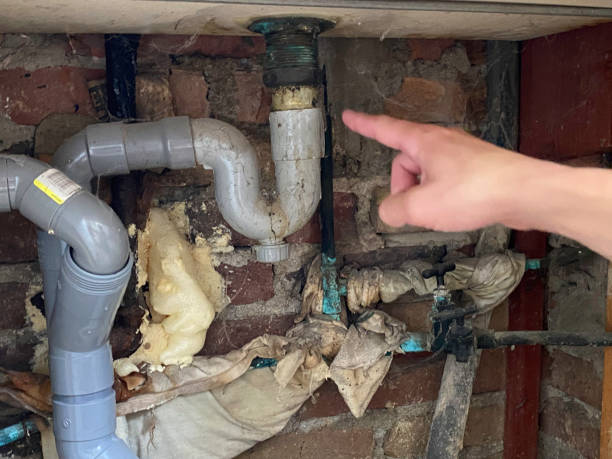 Best Flood restoration services  in Forest Lake, MN