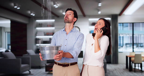 Best Water damage mitigation services  in Forest Lake, MN