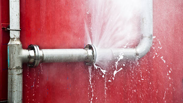 Best Flooded house restoration  in Forest Lake, MN