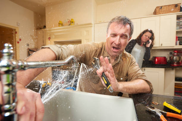Best Water damage restoration near me  in Forest Lake, MN